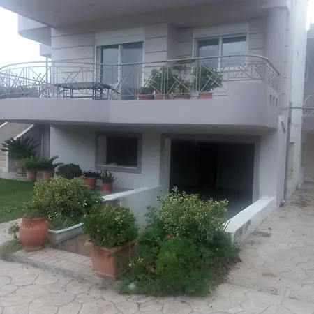 Exohiko Stamatis Daire